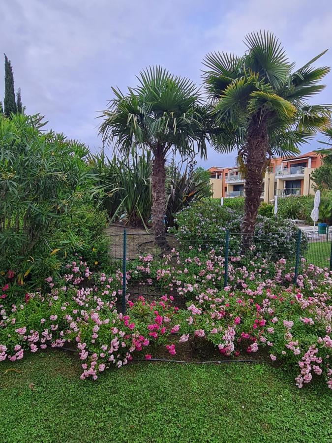 Appartamento Con Vista A Cavallino Venezia Eksteriør billede