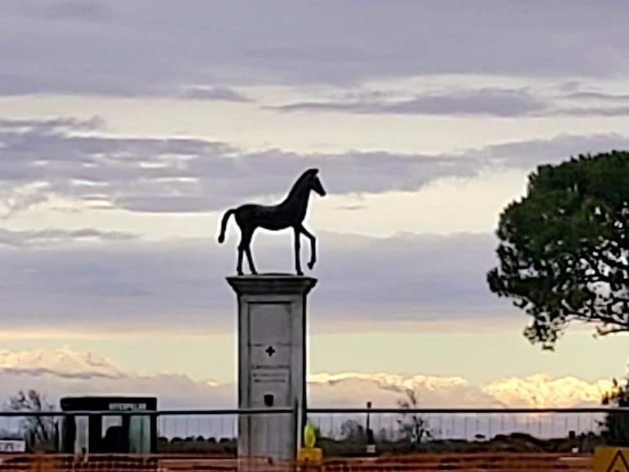 Appartamento Con Vista A Cavallino Venezia Eksteriør billede